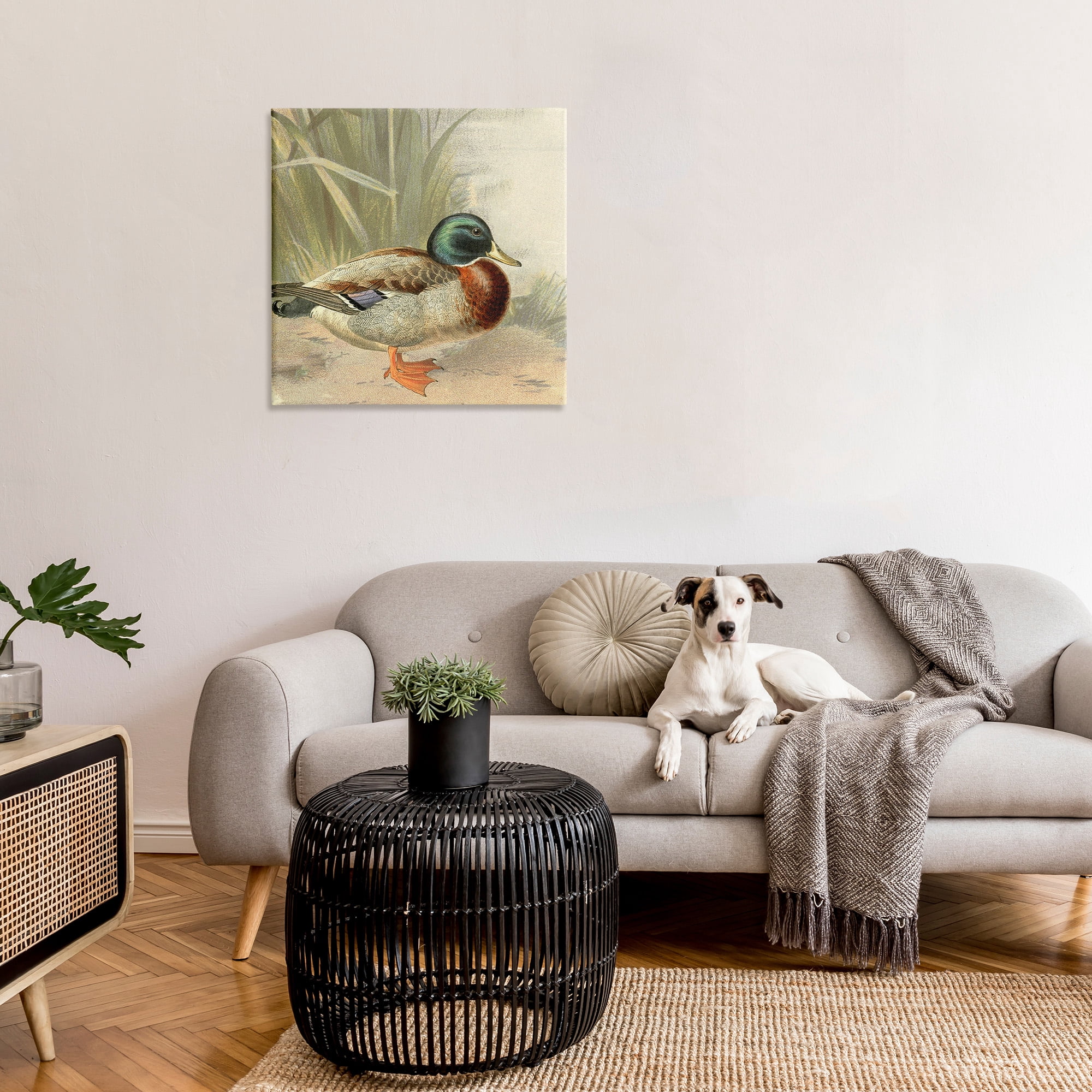 Stupell Industries Traditional Duck & Pond Animals & Insects Painting Gallery Wrapped Canvas Art Print Wall Art, 30 x 30
