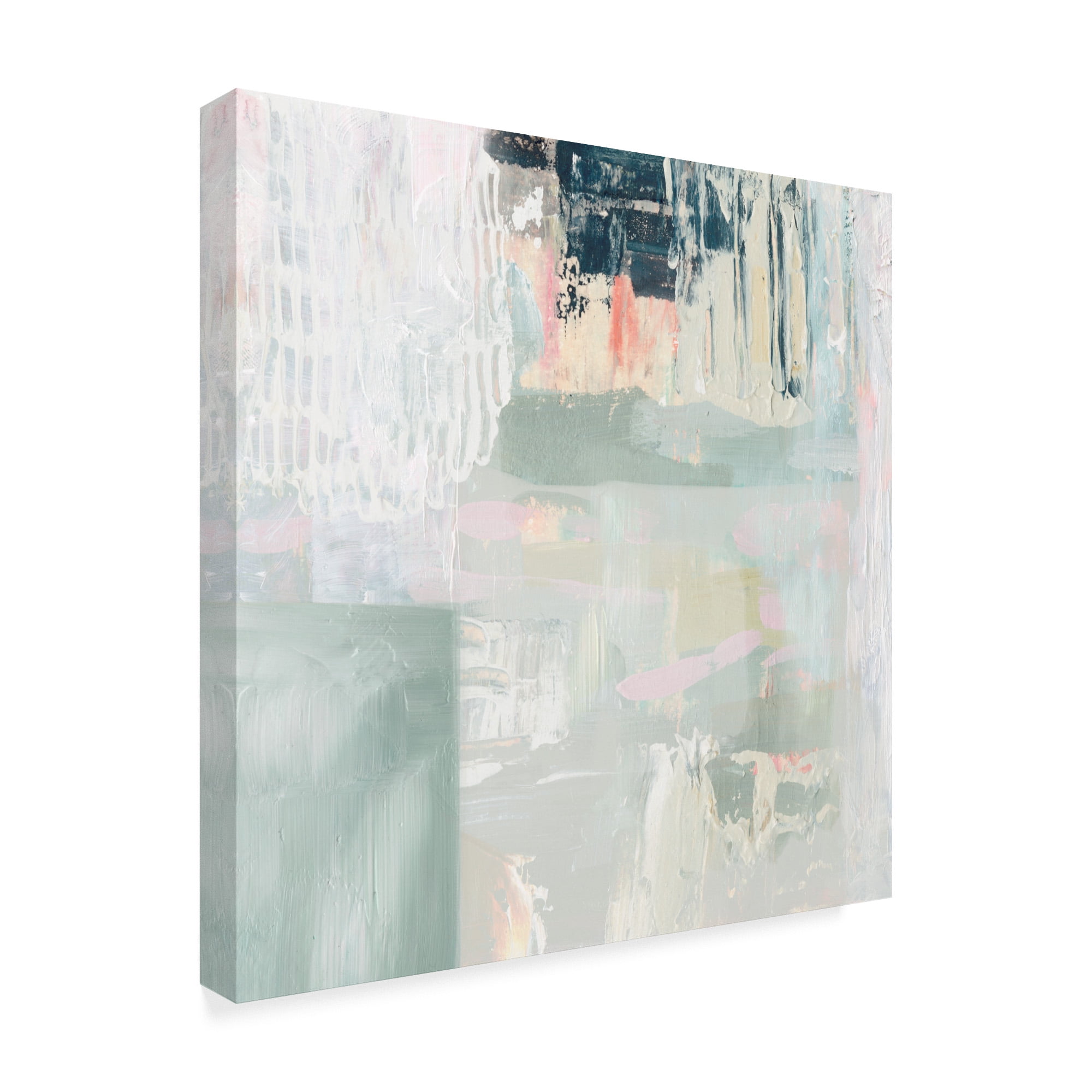 Trademark Fine Art 'Fray I' Canvas Art by Victoria Borges