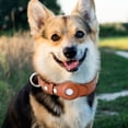 thumbnail image 3 of Pet Collar Creative Anti Loss Location Tracker Collares para cachorros (marrón claro S) Ndcxsfigh Libre de BPA, 3 of 6