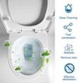 thumbnail image 3 of Household Toilet Cleaner Fast Remover Urine Stains Deodorant for Better Water Quality Cleaning, 3 of 5