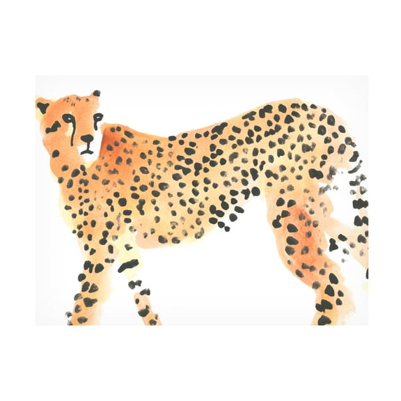 June Erica Vess 'Majestic Cheetah II' Canvas Art