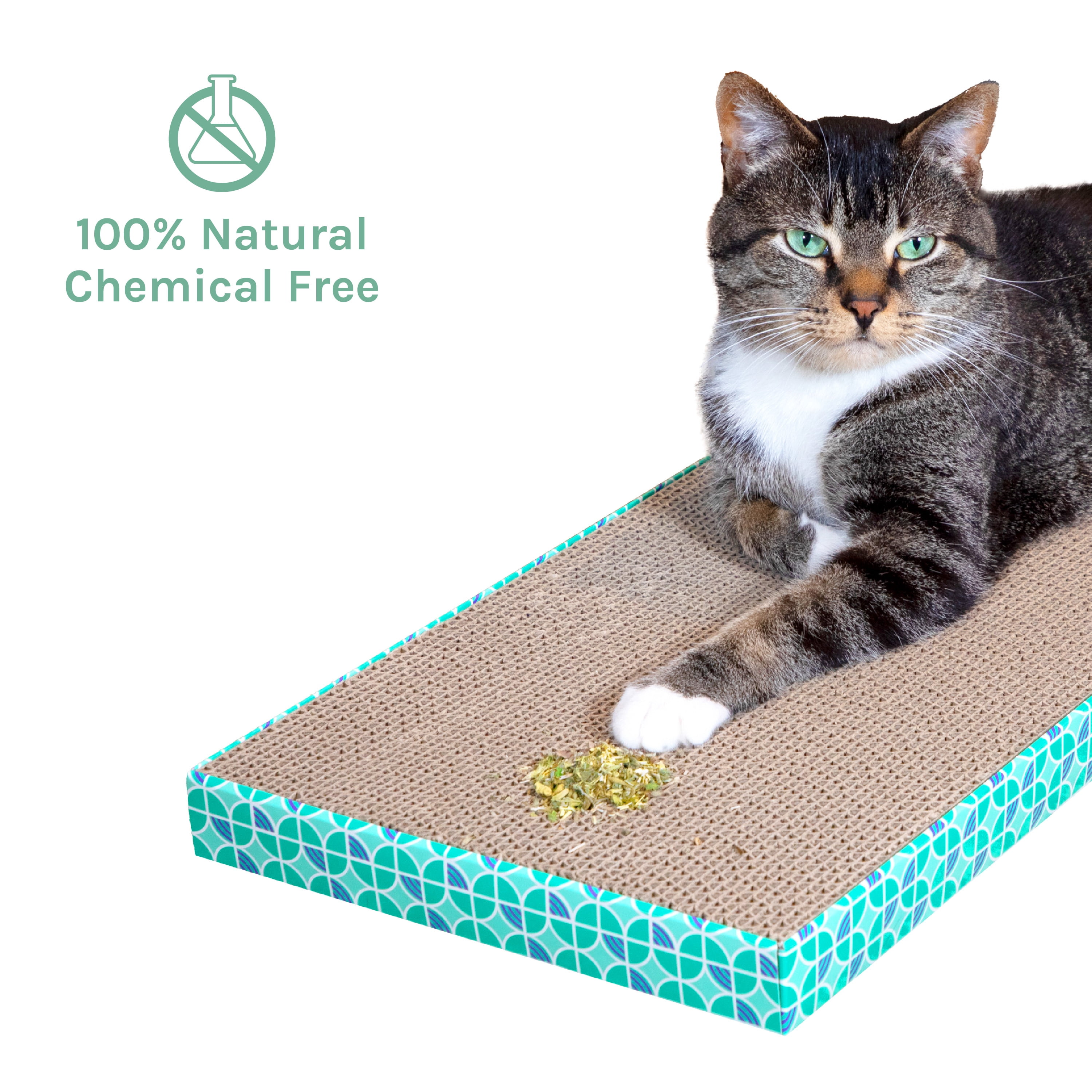Kitty City Premium Natural Ground Catnip, 3 Pack, Long-Lasting Fresh Catnip, 7.5 Cups Total