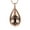 Rose Gold, variant on Tree of Life Urn Necklaces for Ashes Teardrop Cremation Necklace for Ashes, Urn Necklaces for Ashes for Women, Cremation Jewelry Locket Stainless Steel Keepsake