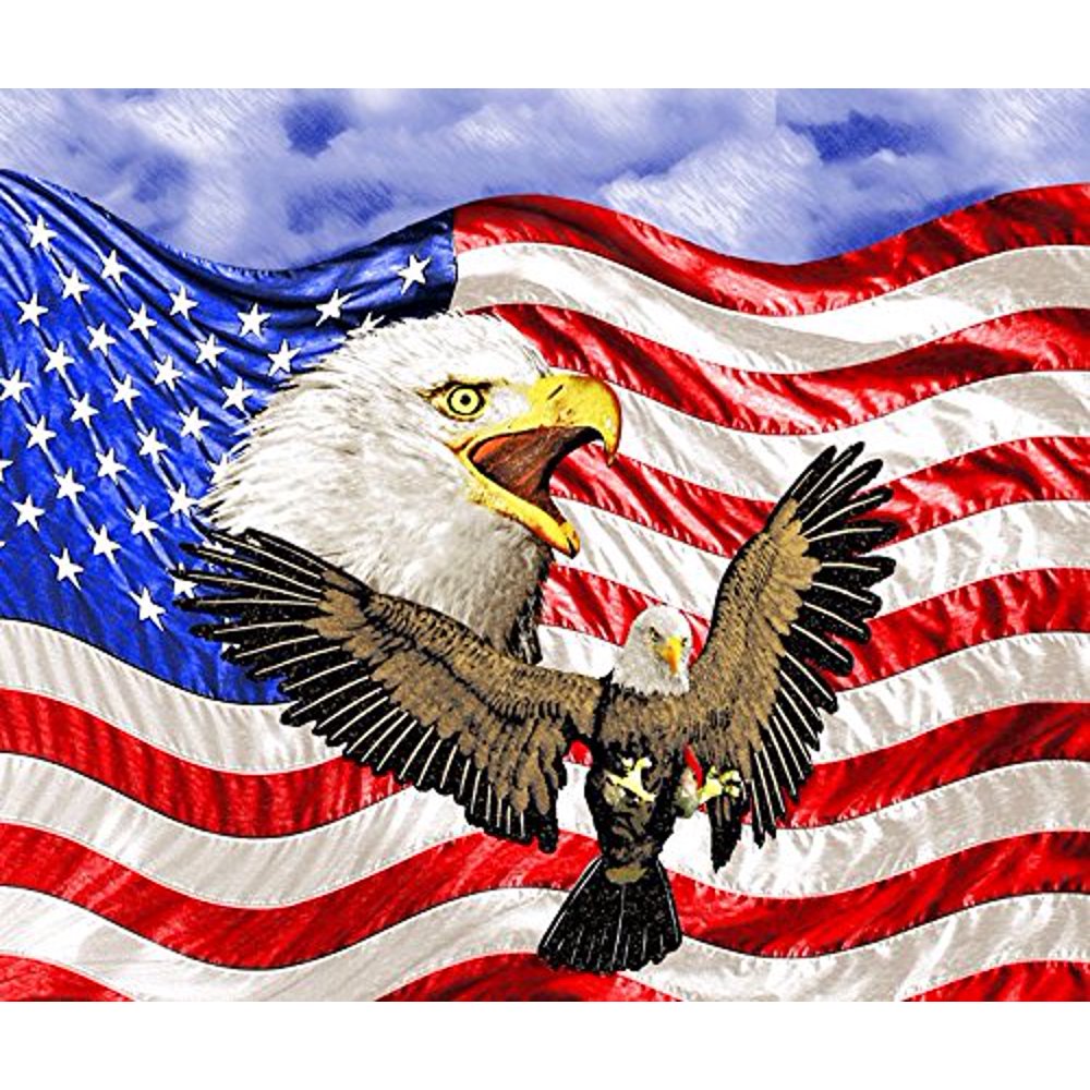 Bald Eagle American Flag Fleece Throw Blanket 50" x 60", Blanket is