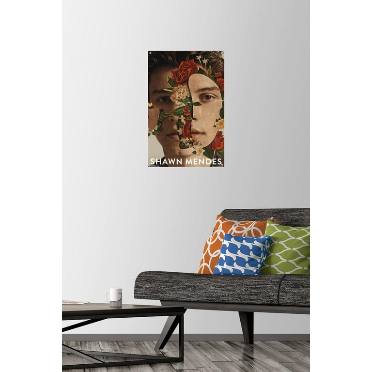 Shawn mendes hot sale life size pillow