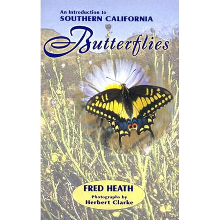 An Introduction To Southern California Butterflies