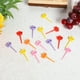 thumbnail image 2 of Palillos Decorativos Con Forma De Animales Y Frutas Mini Palillos Decorativos Con Forma De Animales De Dibujos Animados Y Notas Musicales Para Niños Palillos De Plástico Reutilizables Para Bento B, 2 of 5