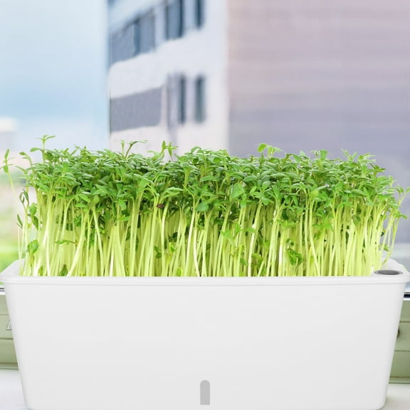 Hemoton Rectangular Self-Watering Planter Box with Drainage, Space-Saving Flower Pot for Indoor Outdoor Plants, Herbs, Vegetables