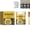 1 set, variant on Weather Resistant Water-Based Gold Paint, Metallic Gold Paint, High Gloss Gold Leaf Paint for Furniture Metal, Wood, Crafts, And Home Decor (1 set)