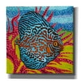 thumbnail image 1 of Epic Graffiti 'Brilliant Tropical Fish II' by Carolee Vitaletti Canvas Wall Art, 37"x37", 1 of 3