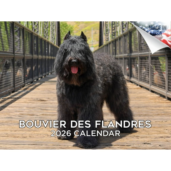 2025 2026 Bouvier Des Flandres Calendar - Dog Breed Monthly Wall Calendar - 12 x 18 Open - Thick No-Bleed Paper - Giftable - Made in USA