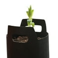 thumbnail image 5 of Anuirheih Potato Grow Bags with Flap 7x6inch, Planter Pot with Handles for Potato Tomato and Vegetables(Black), 5 of 9