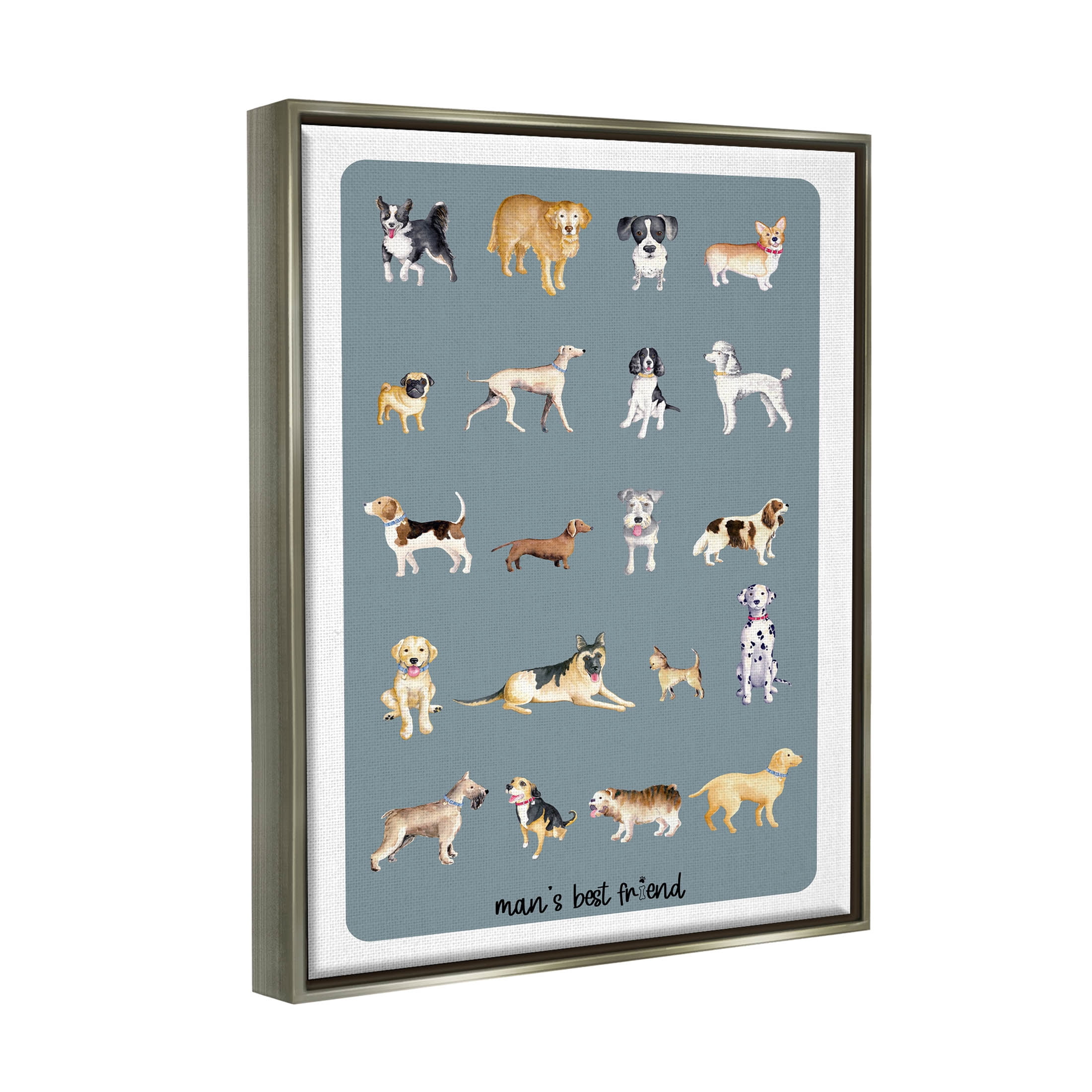Man's Best Friend Dog Breeds Animals & Insects Graphic Art Luster Gray Framed Art Print Wall Art