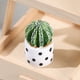 thumbnail image 1 of Cactus en maceta para interior, suculentas de escritorio, cactus en maceta pequeños, micropaisaje ecológico, adornos de bricolaje en botella, 1 of 6