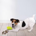 thumbnail image 2 of NERF Feeder Football Dog Toy Green 5in, 2 of 4