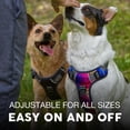 thumbnail image 4 of Arnés reflectante para perros de gran tamaño Embark Adventure, 4 of 8