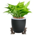 thumbnail image 4 of RnemiTe-amo Clearance！Plant Pot Feet,Cute Animal Shaped Pots Feet Animal Figurines,Strong Invisible Supports Small Large Flower Planters Stability,Outdoor Lifter Toes Elevator, 4 of 6