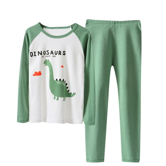 Odeerbi Toddler Boys Dinosaur Printed Cotton Clothes Fall Winter Thermal Outfits Set Summer Pajamas Cartoon Printed Raglan Shirts Two Piece Set Sleepwear Newborn Underwear Set Green