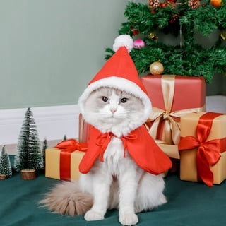 Plus size shop christmas cat dress