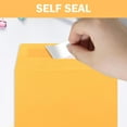 TRAHOO6x9 Envelopes Self Seal 50 Pack Manilla Envelopes Catalog