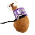 thumbnail image 6 of Ludlz Hand Made Harness Vest and Leash Set for Hamster Rats Iguana Bearded Dragon Baby FerretSoft&Adjustable, 6 of 6
