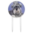 thumbnail image 1 of Acrylic Schnauzer Puppy Dog Wizard Glasses Spell Book Cake Topper Party Decoration for Wedding Anniversary Birthday Graduation, 1 of 7