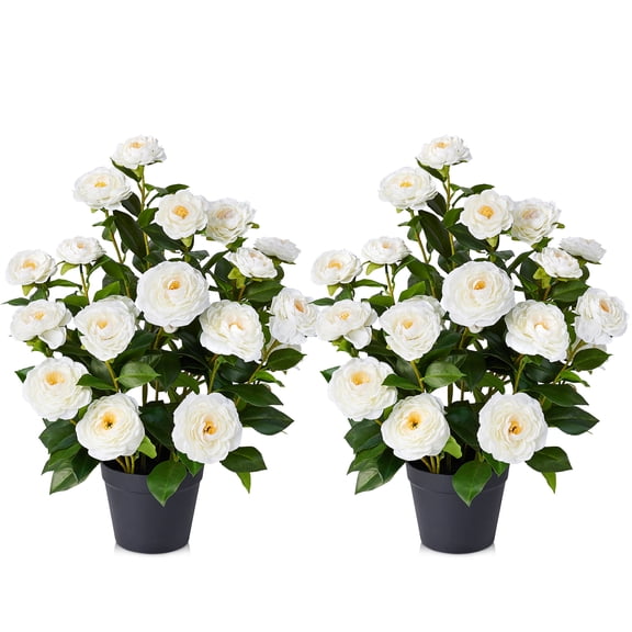DR.Planzen 2 Pack 2 ft Artificial Camellia Tree, Faux Camellia Plant in Pot, 24in Full White Blooms, 28 flowers & 175 leaves - indoor decor for Entryway Front Door Covered Porch Living Room Wedding
