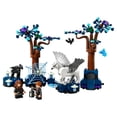 thumbnail image 2 of Set LEGO Harry Potter Bosque Prohibido: Criaturas Mágicas 76432, 2 of 4
