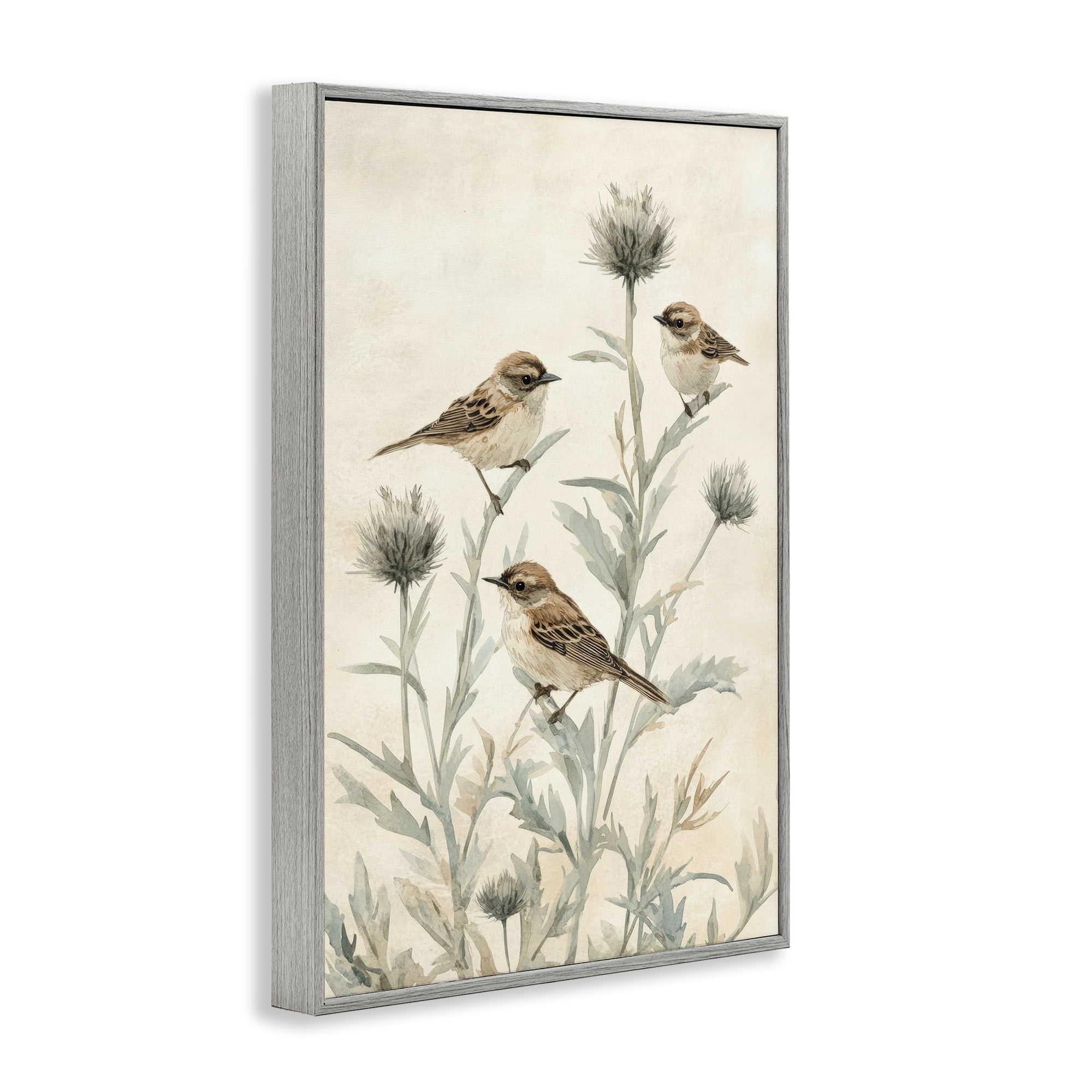 Stupell Industries Sparrows on Thistle Stems Gray Framed Giclee Art, design by Petal Prints Design