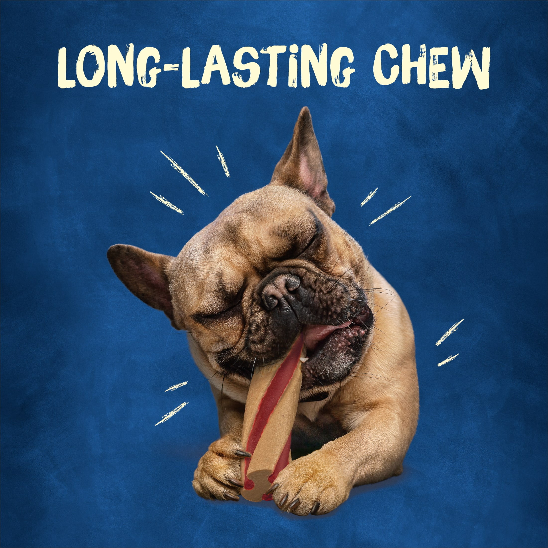 Purina Busy Bone with Beggin' Twist'd Small Dog Treats with Bacon Chews, 20.2 oz Pouch (12 Count)