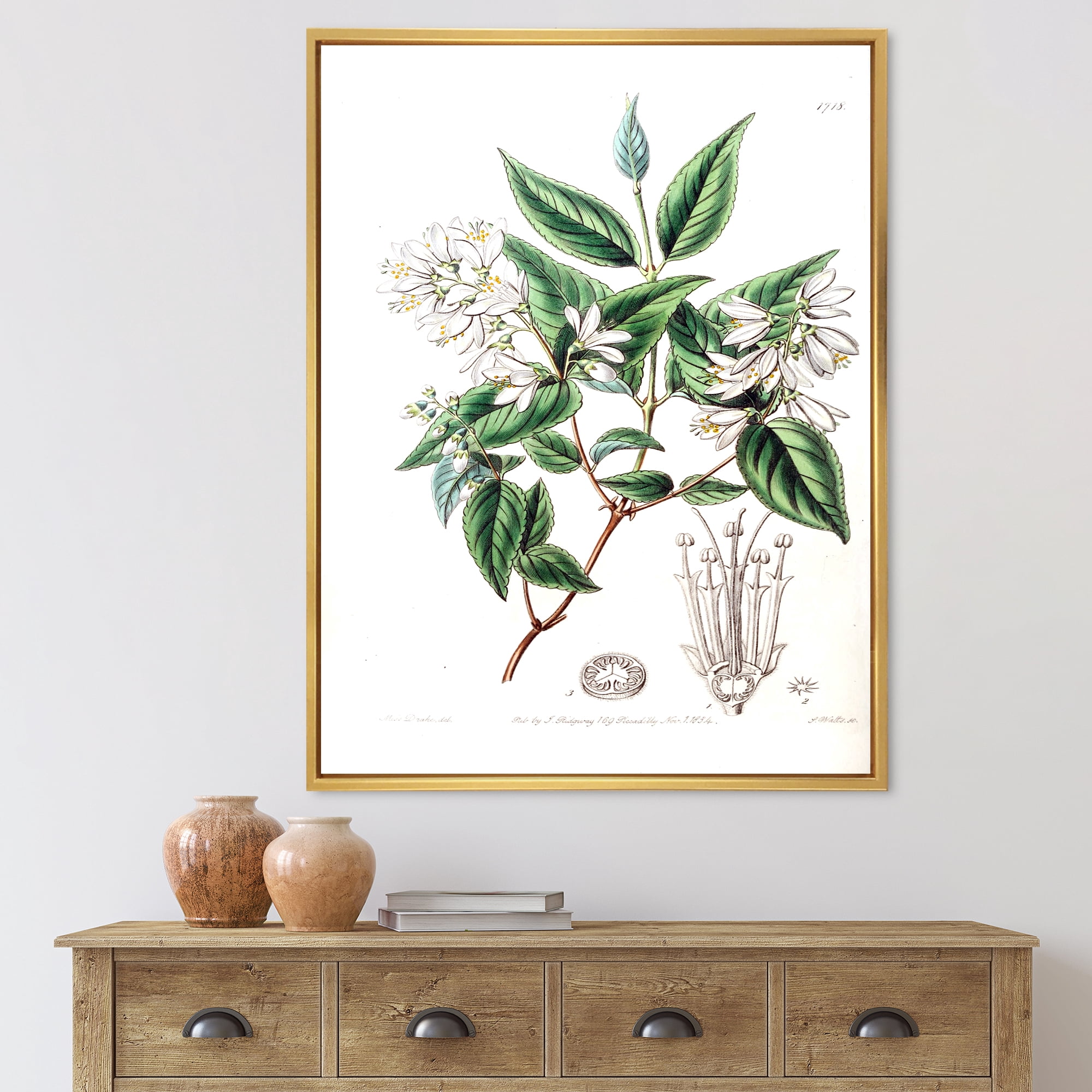 Designart 'Ancient Botanicals X' Traditional Framed Canvas Wall Art Print