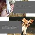 thumbnail image 4 of 2 Piezas Zapatos Para Perros Protector De Patas De Goma Para Cachorros De Invierno Botas Para Perros Impermeables Antideslizantes Cubierta Suave Y Ajustable Para Pies De Perros, 4 of 8