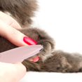 thumbnail image 2 of POINTERTECK Electric Pet Clippers Dogs Grooming Low Noise Pet Paws Clipper Dog Paw Trimmer, 2 of 6