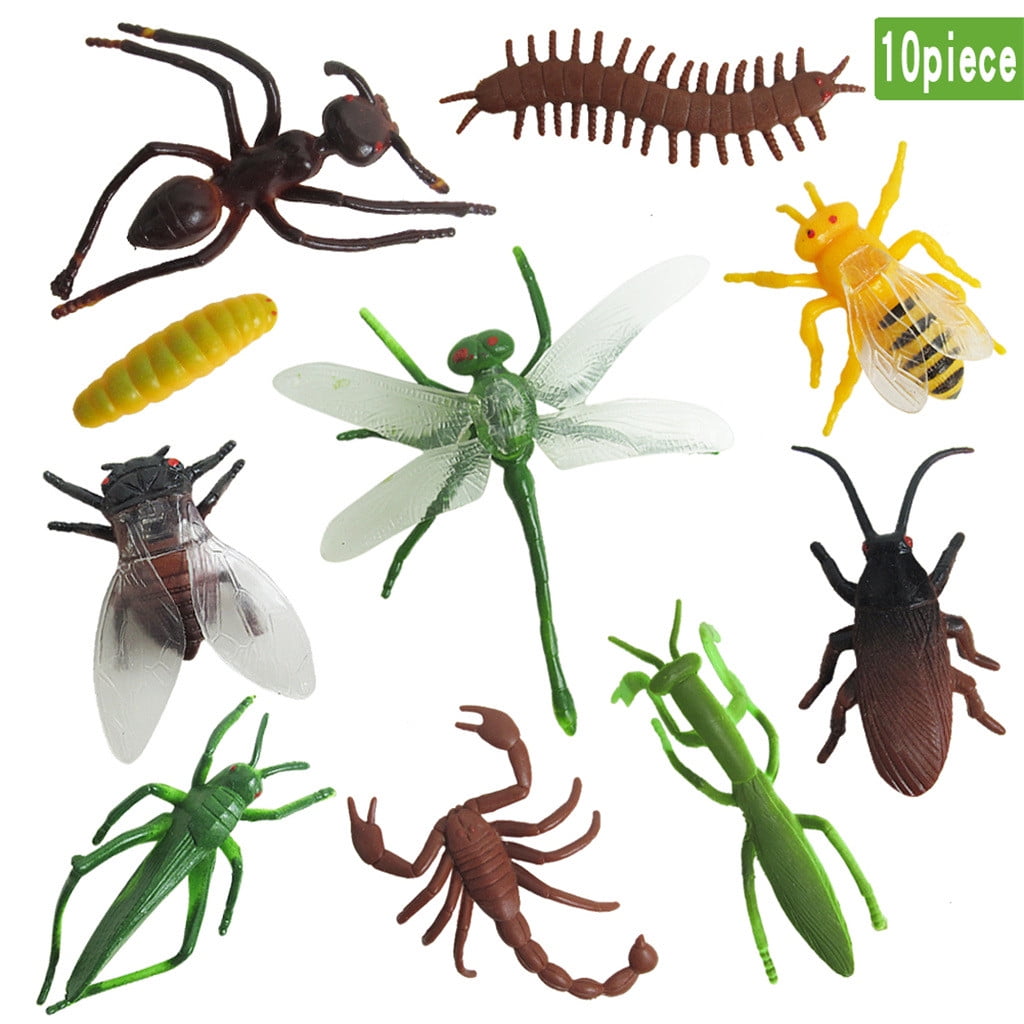 educational insect toys
