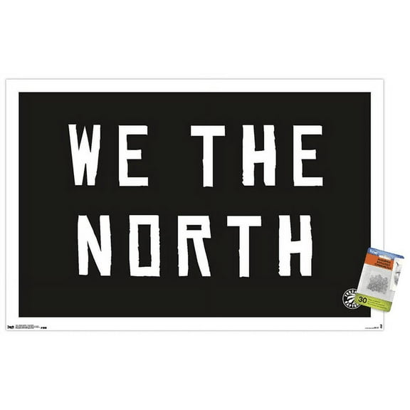 NBA Toronto Raptors - We The North 16 Wall Poster with Push Pins, 22.375" x 34"