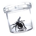 thumbnail image 2 of Coghlan's Bug Jar with Magnifier for Kids, 2 of 2