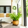 thumbnail image 6 of Nearly Natural 4ft. UV Resistant Artificial Boston Fern Plant with Real Touch Leaves (Indoor/Outdoor), 6 of 6