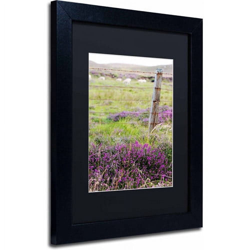 Trademark Fine Art "Symbol" Canvas Art by Philippe Sainte-Laudy, Black Matte, Black Frame