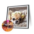 thumbnail image 2 of Wdftyju 5D DIY Diamond Painting Kits Full Square Drill Flor Cachorro Mosaico Imagen de pared Wdftyju 7ee2kv2cs4kf7zl8, 2 of 9