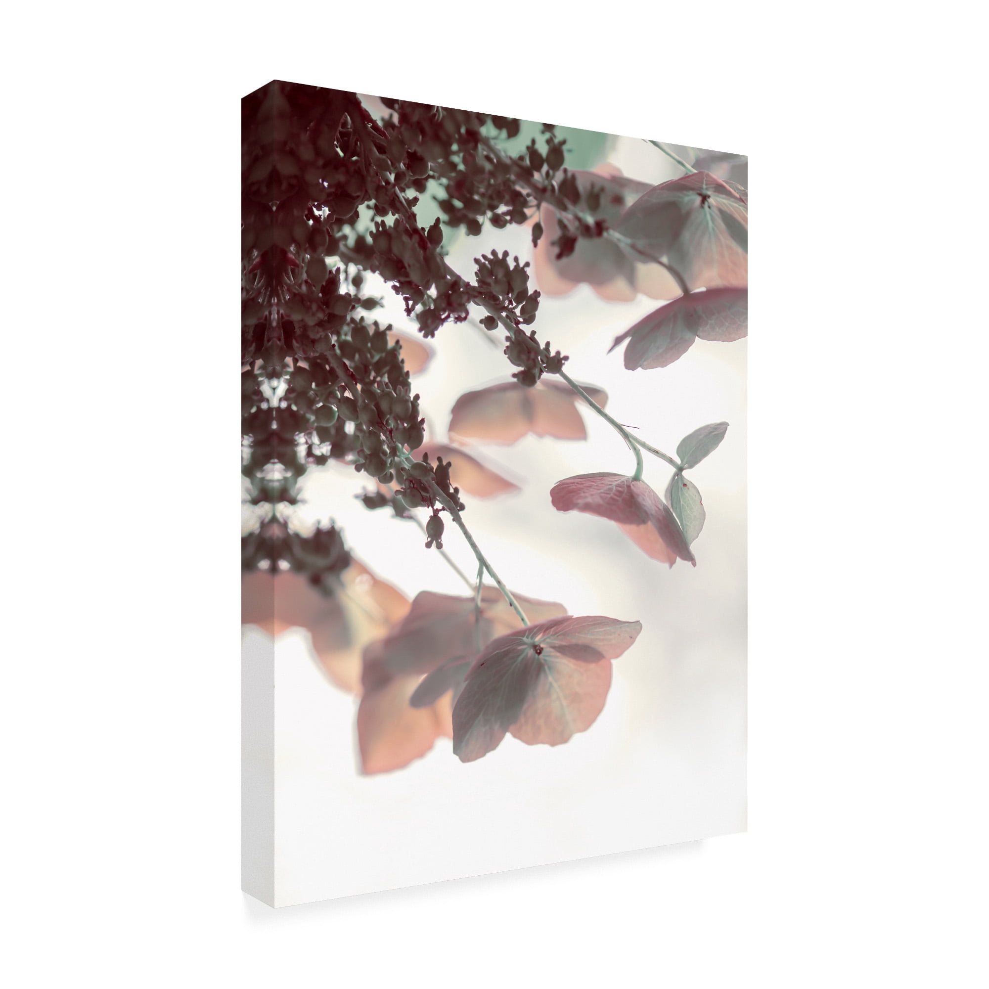 Trademark Fine Art 'Pink & Aqua Hydrangeas' Canvas Art by Brooke T. Ryan