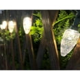 thumbnail image 5 of Lightway LED C9 Christmas String Lights, 5 of 5