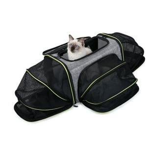 Cat Carrier Pet Carrier, TSA Airline Approved Soft Sided Dog Cat Carriers,  Cat Travel Bag with 2 Folding Bowls for Dogs of 18lb - AliExpress