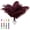 Burgundy, variant on Piokio 40pcs Natural Black Ostrich Feathers 10-12 inch (25-30cm) Bulk Feathers for Wedding Party Centerpieces, Home Decoration and DIY Clothing, Gatsby Decorations