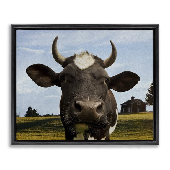 Stupell Industries Farm Cow with Curved Horns Black Framed Floater Canvas Wall Art, design by Marcus Prime