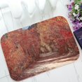 thumbnail image 1 of Tapis d'Entrée Feuillage d'Automne Tapis de Sol Décoration Maison 40x60 cm, 1 of 1