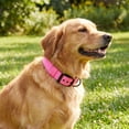 thumbnail image 4 of Vibrant Life Diagonal Stripe Extra Wide Adjustable Reflective Collar for Dogs, Pink & Gray, Large, 4 of 8