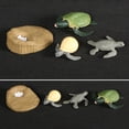 thumbnail image 3 of Animals Growth Cycle Life Cycle Model Set Ant Mosquito Sea Turtle Simulation Model Action Figures Teaching Toys For Kids, 3 of 10