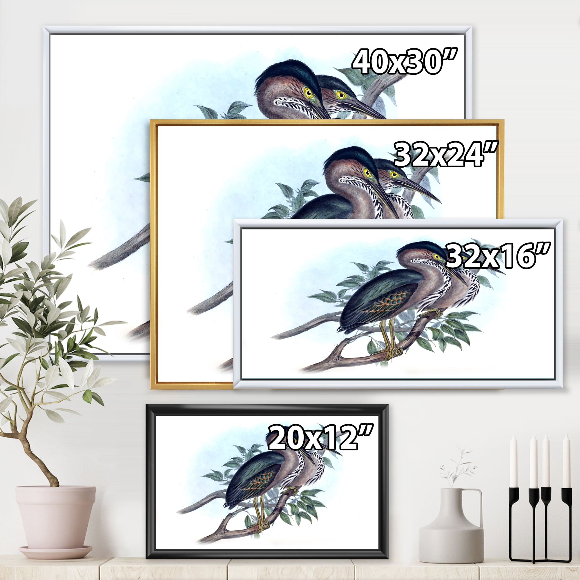 Designart 'Ancient Australian Birds VII' Traditional Framed Canvas Wall Art Print