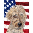thumbnail image 1 of Caroline's Treasures American 2-Sided Polyester 15 x 11 in. Garden Flag, 1 of 7