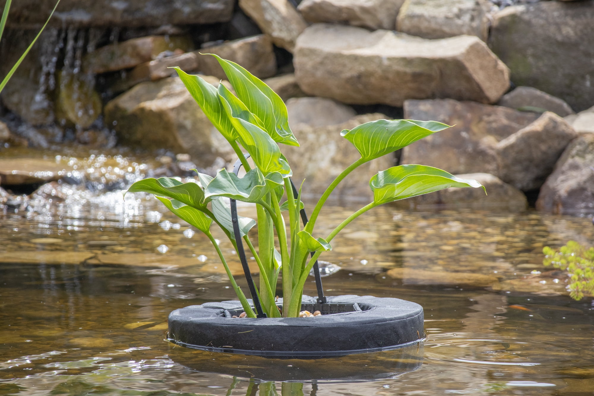 PondH2o Floating Aquatic Water Garden Pond Planter Basket, 10 Inch Round Fabric Floatable Flower Plant Pot Aquaponics, Hydroponics
